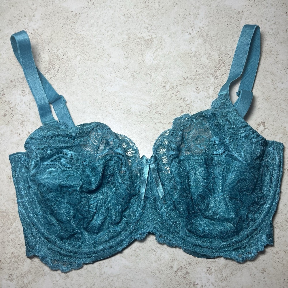 Panache‎ Andorra Full Brief Lace Underwire Bra Teal Blue Luxury Lingerie 30FF
